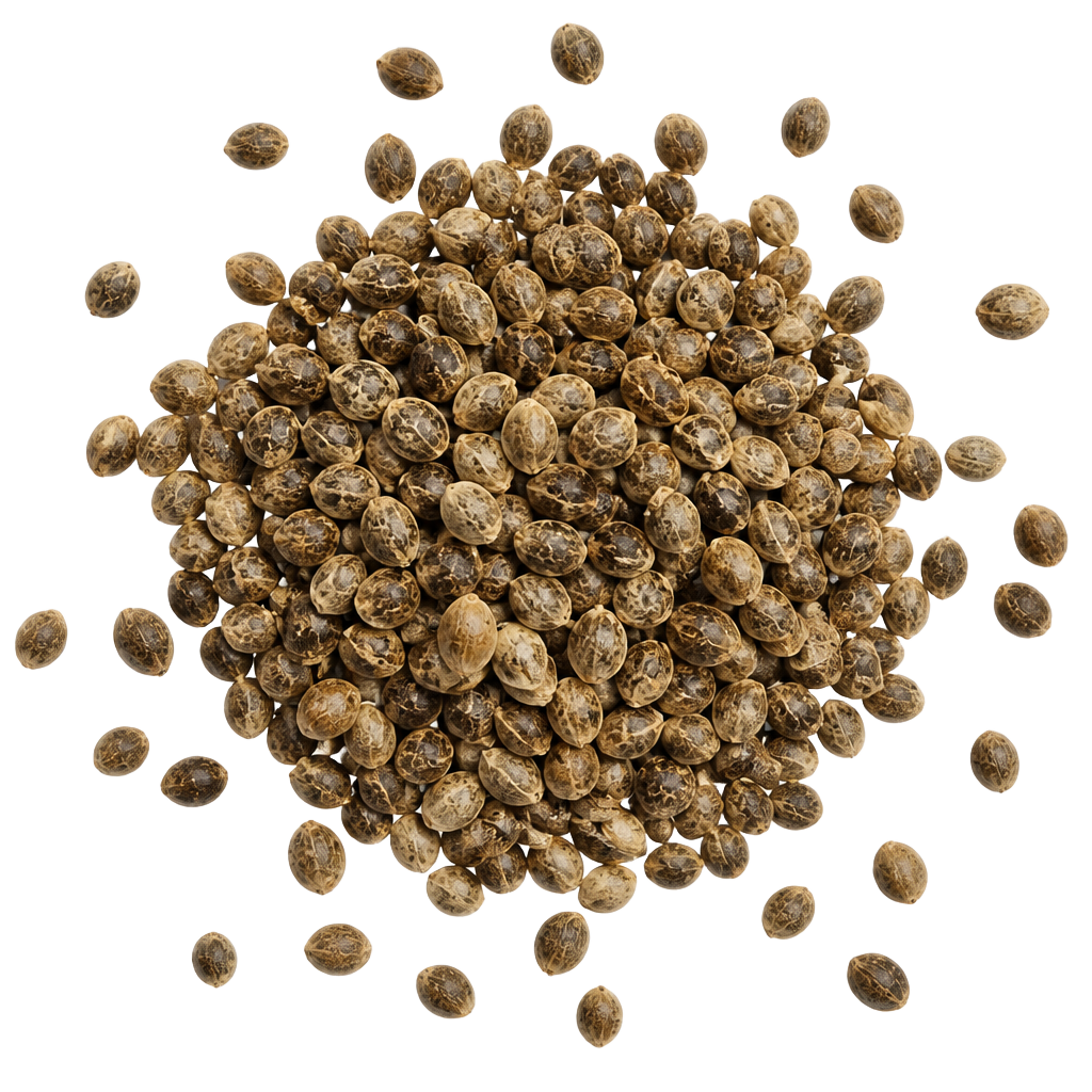 Hemp seeds
